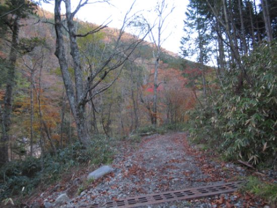 画像5